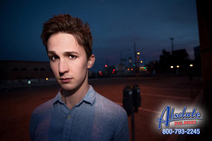 Get Your Loved One Out of Jail and Home for the Holidays Santa Barbara Bail Bonds Get Your Loved One Out of Jail and Home for the Holidays Santa Barbara Bail Bonds