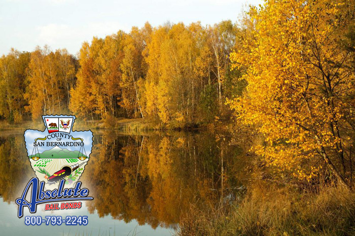 We Make Bail Cheaper and Easier At Barstow Bail Bonds We Make Bail Cheaper and Easier At Barstow Bail Bonds