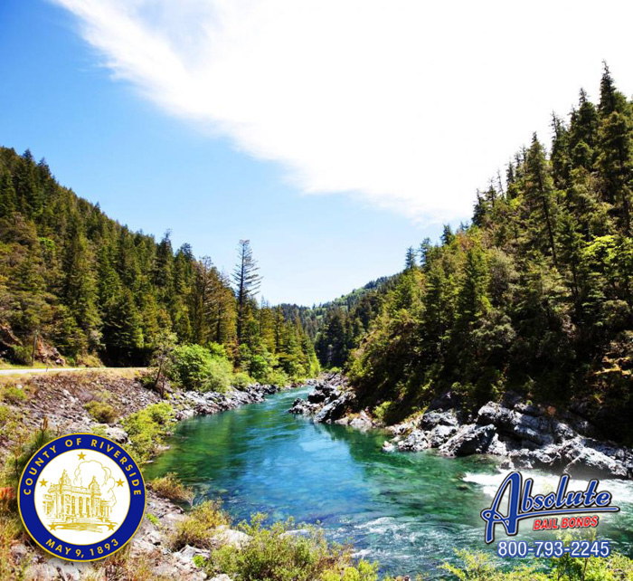 The Choice Is Easier Than You Think, Call Beaumont Bail Bonds Now Beaumont Bail Bonds