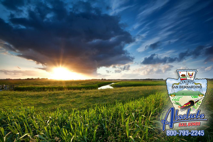 Big Bear Lake Bail Bonds Has the Best Agents Big Bear Lake Bail Bonds Has the Best Agents