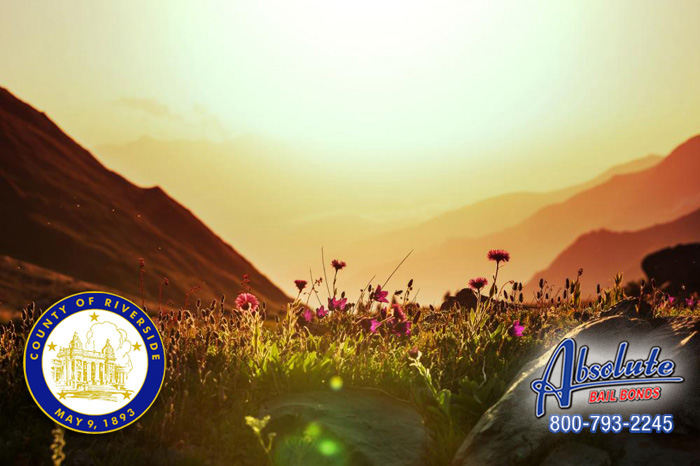 Team Up With Calimesa Bail Bonds to Rescue Your Friend or Family Member from Jail Calimesa Bail Bonds