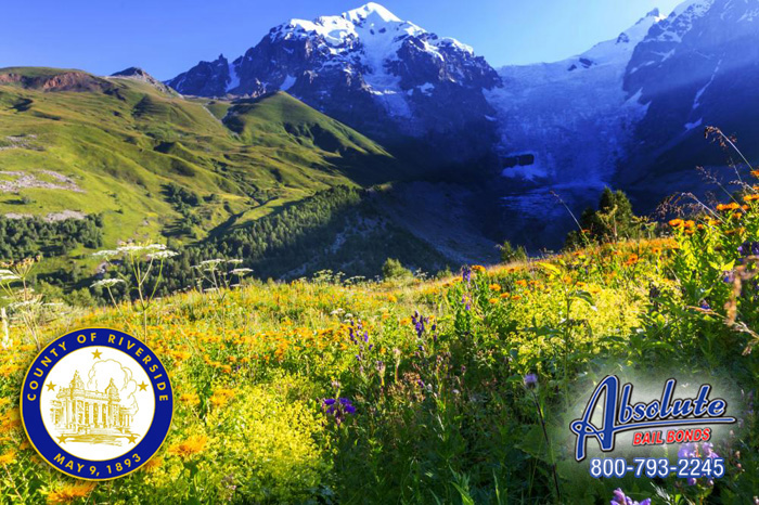 Do You Know How To Get A Bail Bond For Your Friend or Close Family Member? Canyon Lake Bail Bonds