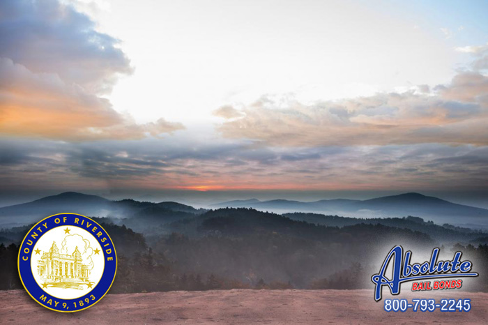 Rescue Your Best Friend from Jail with Cathedral City Bail Bonds Cathedral City Bail Bonds