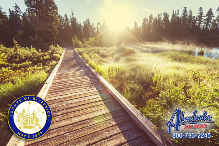 Get Your Loved One Out Of Jail by Going to Only One Place: Eastvale Bail Bonds Eastvale Bail Bonds