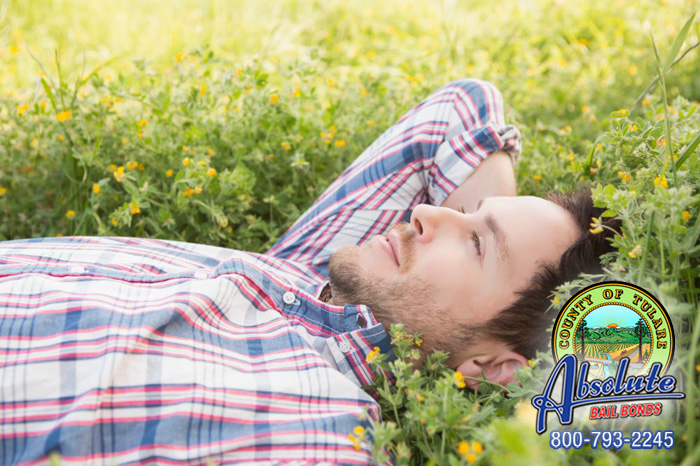 Get the Bail Help You Need, Exactly When You Need It with Farmersville Bail Bonds Get the Bail Help You Need, Exactly When You Need It with Farmersville Bail Bonds