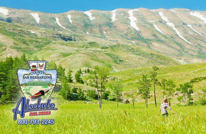 Fontana Bail Bonds is a Safer Alternative