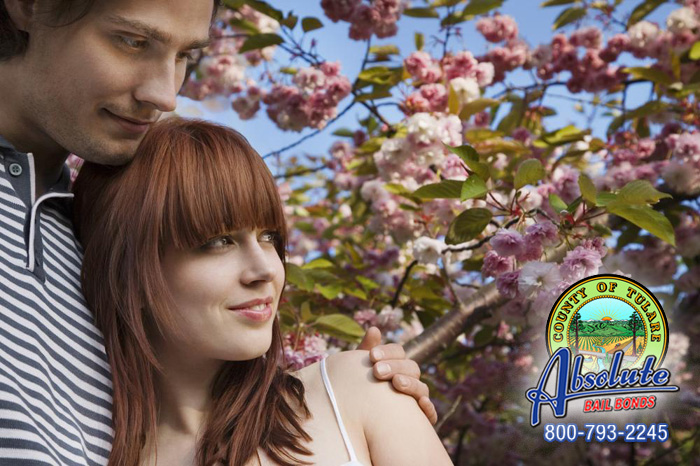 Rescue Your Loved One from Jail with Professional Help from the Bail Agents at Lindsay Bail Bonds Rescue Your Loved One from Jail with Professional Help from the Bail Agents at Lindsay Bail Bonds