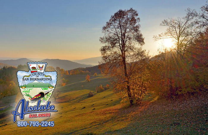 Protect Your Family With Absolute Bail Bonds in Rancho Cucamonga Protect Your Family With Absolute Bail Bonds in Rancho Cucamonga