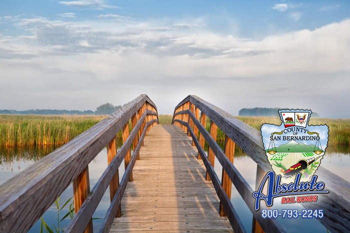 Absolute Bail Bonds in Twentynine Palms Has The Best Prices