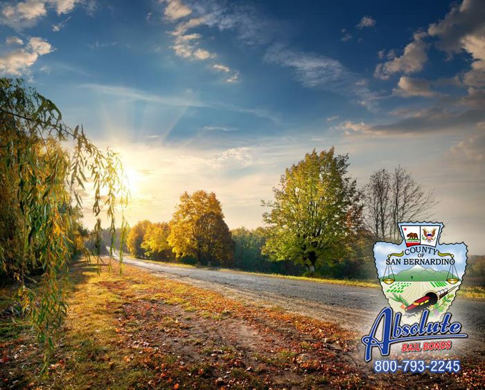 Upland Bail Bonds Explains Bail Schedules Upland Bail Bonds Explains Bail Schedules