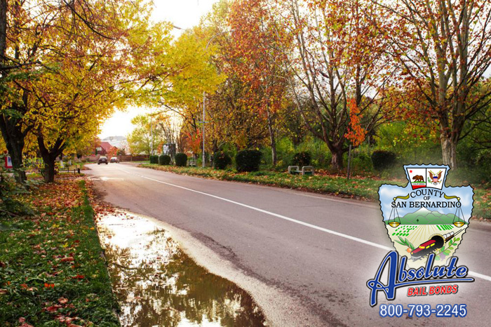 Yucca Valley Bail Bonds Is Family Owned Yucca Valley Bail Bonds Is Family Owned