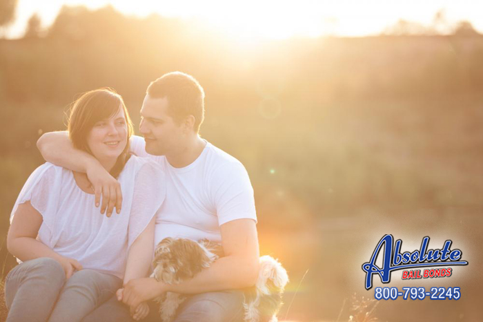 We Have the Best Bail Agents in California Working at Lynwood Absolute Bail Bonds Lynwood Absolute Bail Bonds