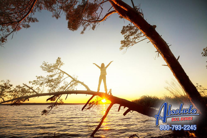 Lynwood Absolute Bail Bonds