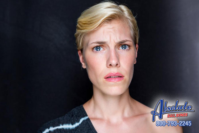 Bell Bail Bondsflower is Your Best Choice When You Need to Bail Out a Loved One Bell Bail Bondsflower