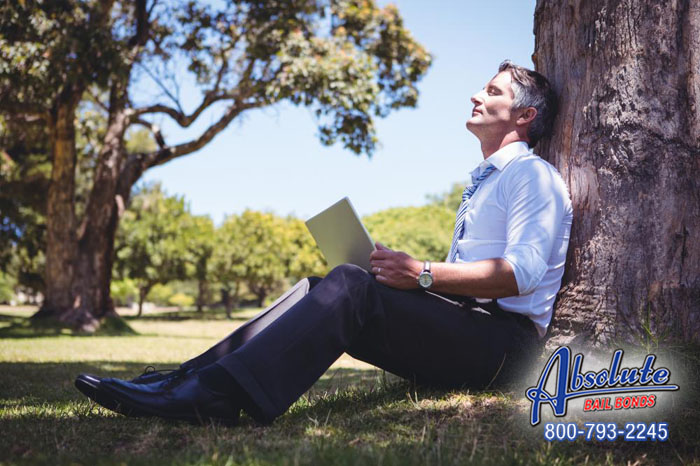 Modesto Absolute Bail Bonds has the Most Bail Experience in California Modesto Absolute Bail Bonds