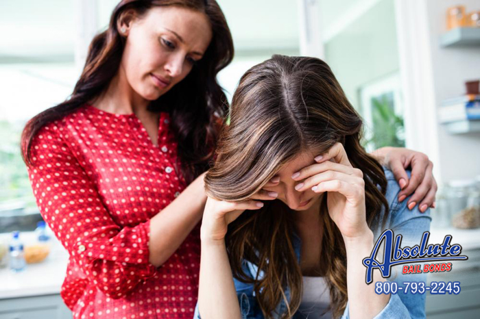 Get Your Best Friend Back With Help from the Professionals at Salinas Absolute Bail Bonds Salinas Absolute Bail Bonds