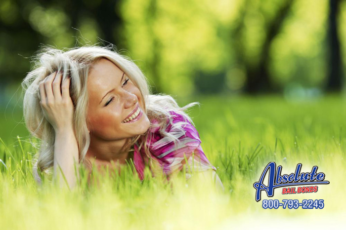 Absolute Bail Bonds is here for You and Your Friends Absolute Bail Bonds
