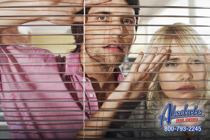 3 Tips To Successful Bail Absolute Bail Bonds