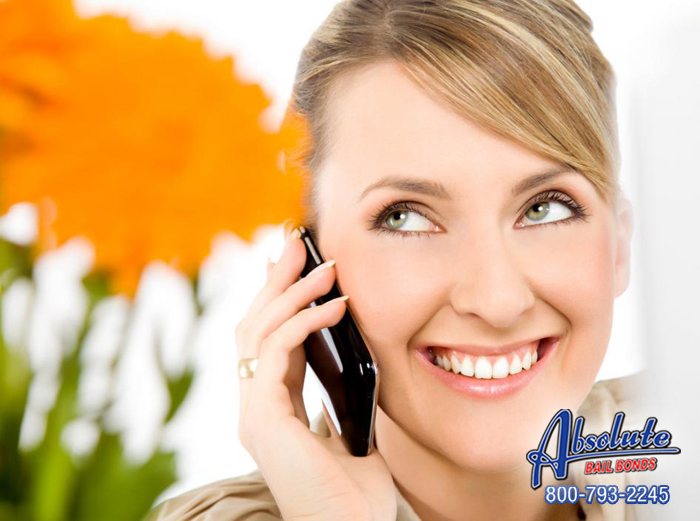 Absolute Bail Bonds Is Thankful for You Absolute Bail Bonds