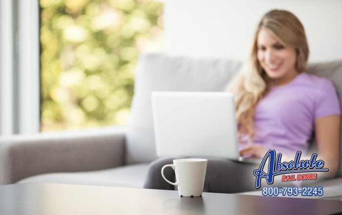 Get Your Best Friend Back Today With The Help From Our Professionals at Salinas Bail Bonds Salinas Bail Bonds