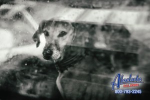 Riverside Bail Bonds