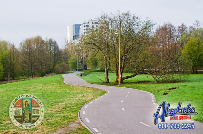 Palmdale Bail Bonds Will Help Give Your Family Member a Second Chance Palmdale Bail Bonds