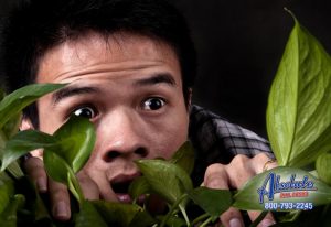 Lancaster Bail Bonds