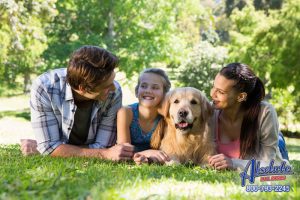 Victorville Bail Bonds