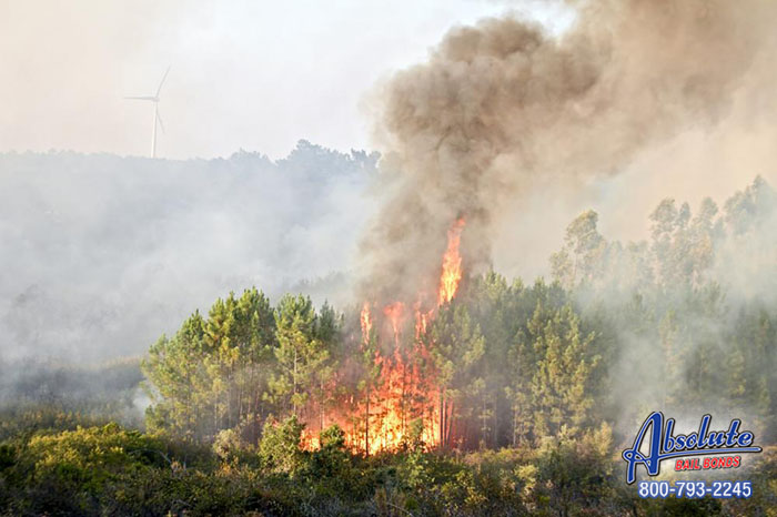 Los Angeles Bail Bonds