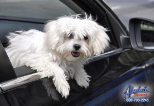 San Fernando Valley Bail Bonds