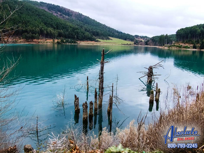 Absolute Los Angeles Bail Bonds