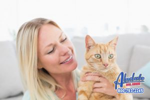 s Your Friend a Cat or Dog Person?