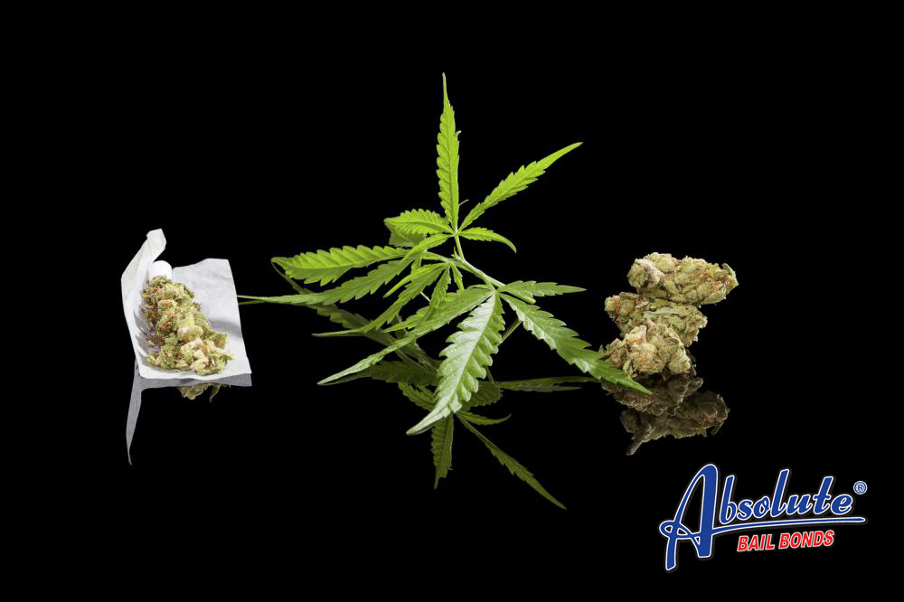 Driving as a Medical Marijuana Patient Driving as a Medical Marijuana Patient