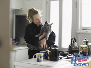 What is My Cat Saying?