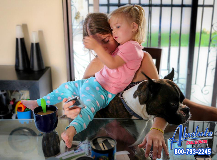 Bail Bonds in Carson Bail Bonds in Carson