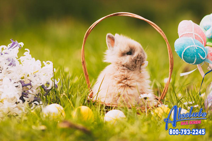 How did we get the Easter Bunny?