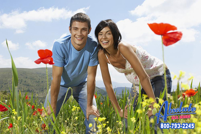 Have You Noticed All of the Colors? The Spring Flowers Have Arrived in California Have You Noticed All of the Colors? The Spring Flowers Have Arrived in California