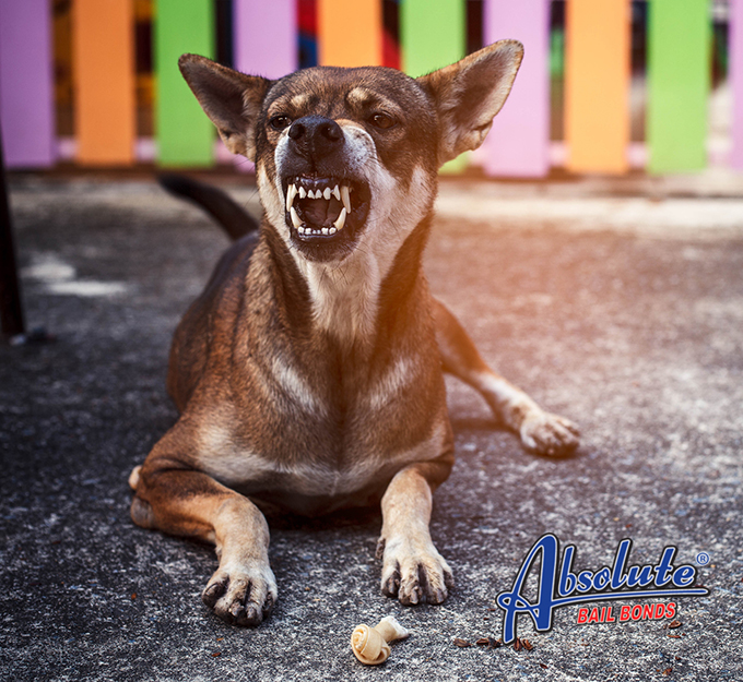 California law about dog bite California law about dog bite