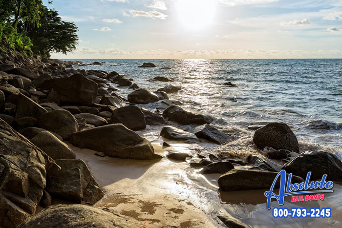 California’s Glowing Beach