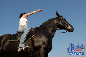 Horseback Riding Laws: Even Horses Have Laws