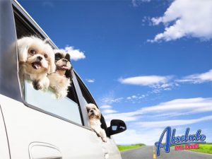 California’s Car Pool Lane: Who Can and Can’t Use it