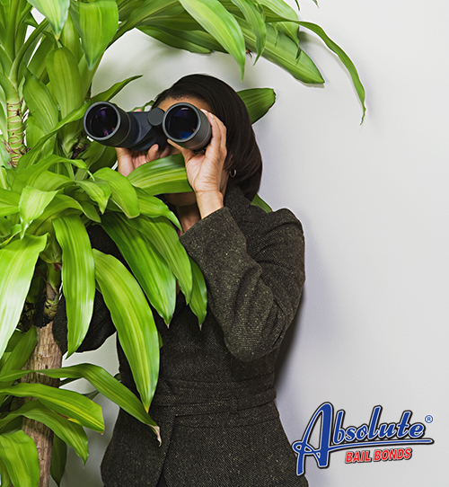 How to Deal With Nosy Neighbors