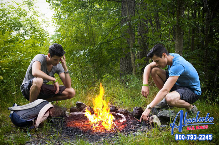 preventing wildfires in california 1