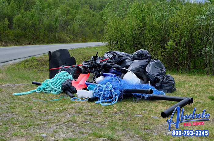 Where Do You Get Rid of Your Trash?