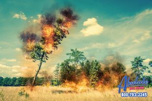 Turning Off the Power Due to High Winds