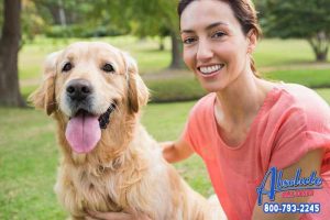 Animal Abuse Is Against the Law