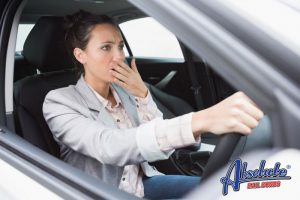 hitting an animal what to do