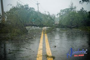 absolute bail bonds california and earthquakes