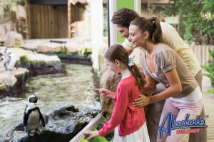 absolute bail bonds trespassing at a zoo